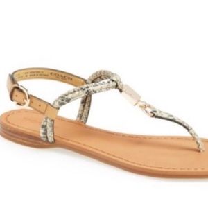 Coach sandals
